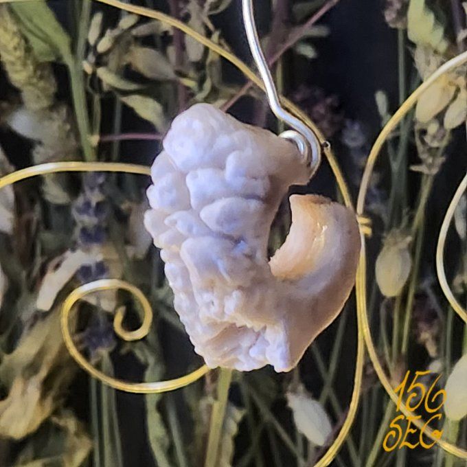 Boucle d'oreille Os Brut créole