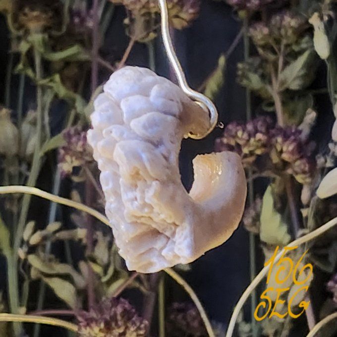 Boucle d'oreille Os Brut créole