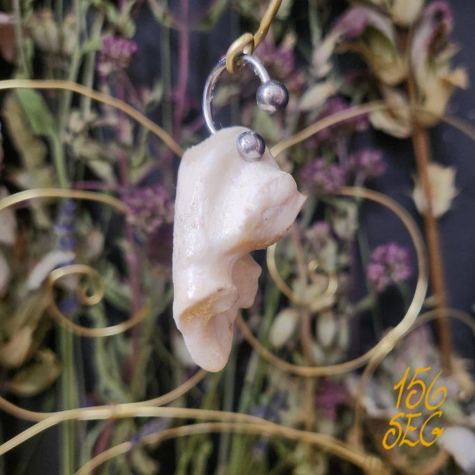Boucle d'oreille en Os Brut barre circulaire