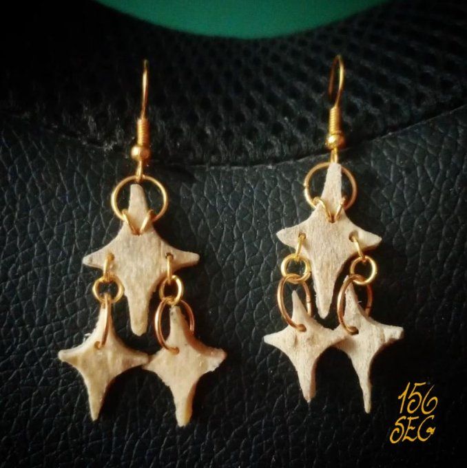 Boucles d'oreilles Shine